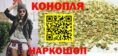 гашик Кандалакша