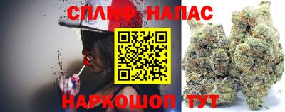 не бодяженный Камышлов