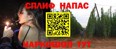 гашик Кандалакша