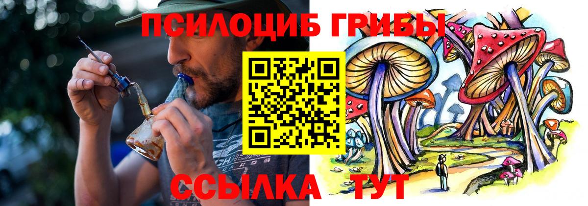 Псилоцибиновые грибы MAGIC MUSHROOMS Биробиджан